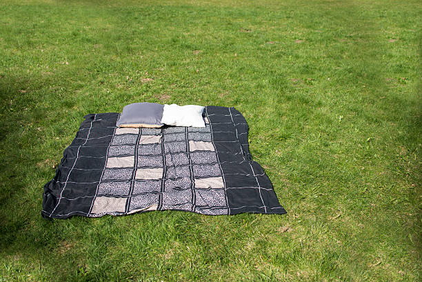 istock picnic blanket with pillow on the grass field 519434272