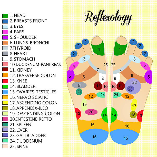 フットリフレクソロジーチャート - massaging human foot reflexology foot massage点のイラスト素材�／クリップアート素材／マンガ素材／アイコン素材