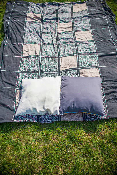 istock picnic blanket with pillow on the grass field 519434400