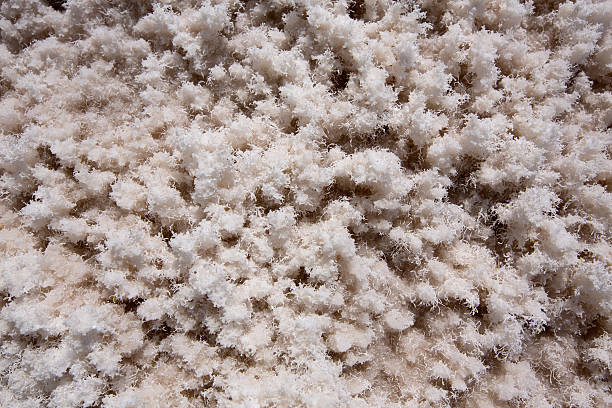 istock Badwater Basin Death Valley salt textures macro 519434469