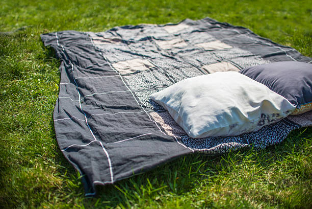istock picnic blanket with pillow on the grass field 519434490