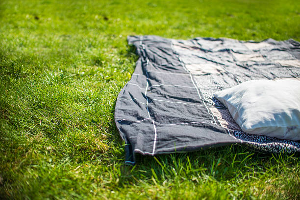 istock picnic blanket with pillow on the grass field 519434590