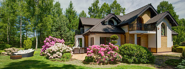 istock Blossoming bushes in domestic garden 519434662