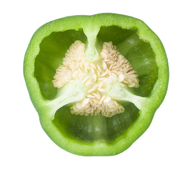 ピーマン (Bell Pepper)