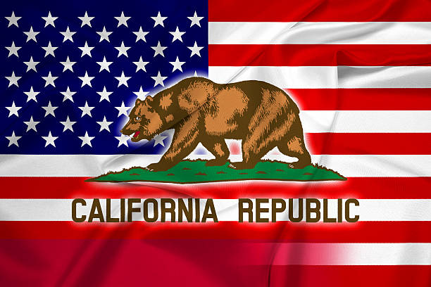 istock Waving USA and California State Flag 519437941