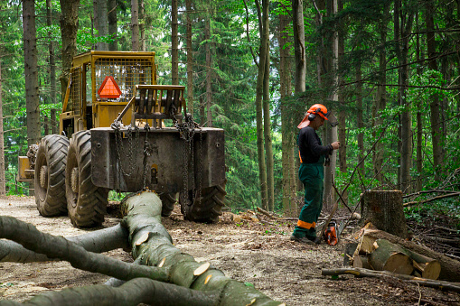 Sudety Mountain, Poland -July 23, 2014 Forestry worker and  machinery during hard work in Polish mountain.
