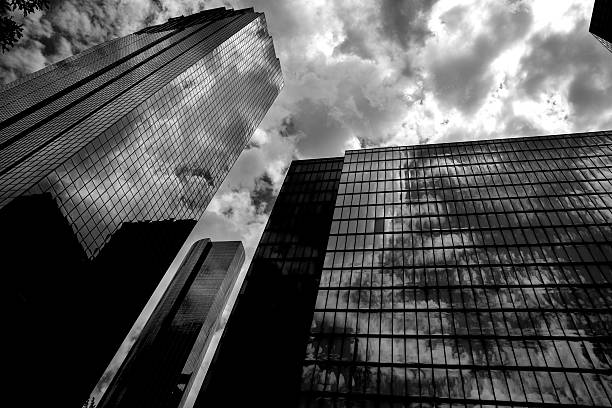 istock Black and white Houston Texas downtown mirror buildings 519440151