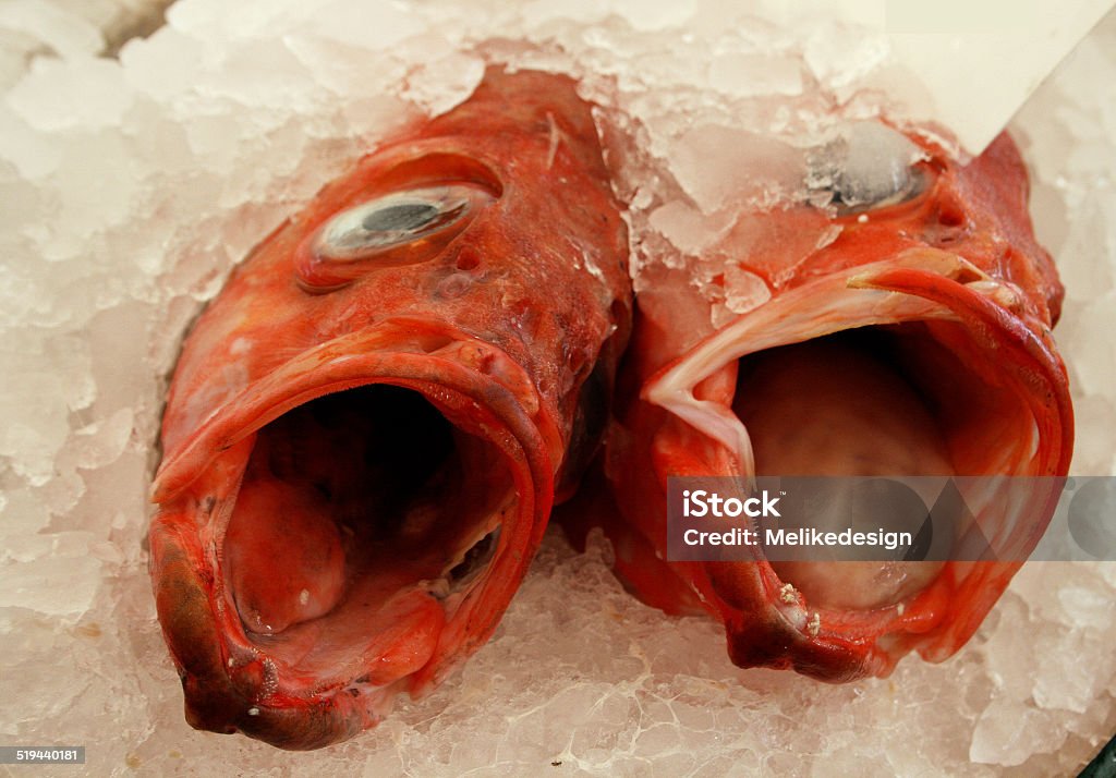 Redfish in crushed ice at fish market Animal Stock Photo