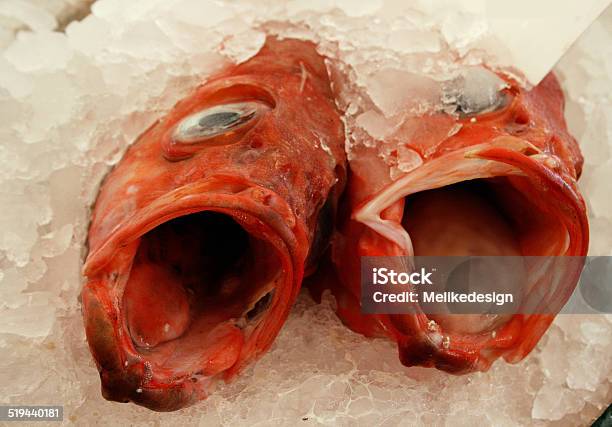 Redfish In Crushed Ice At Fish Market Stock Photo - Download Image Now - Animal, Animal Body Part, Animal Eye