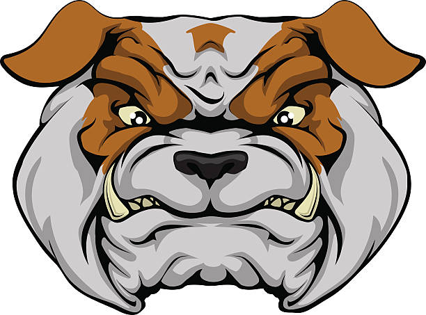 Mean Bulldog A mean bulldog dog character or sports mascot staring forward mean dog stock illustrations