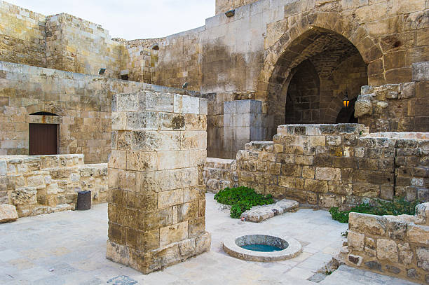 istock Citadel of Aleppo, Syria 519457463