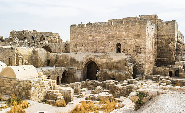 istock Citadel of Aleppo, Syria 519457465