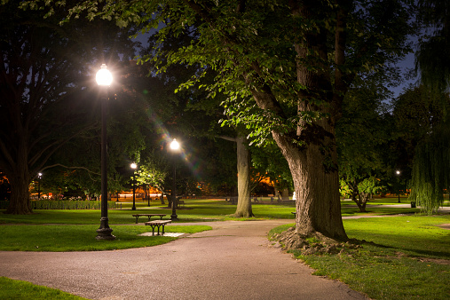 Boston Public Garden at night.