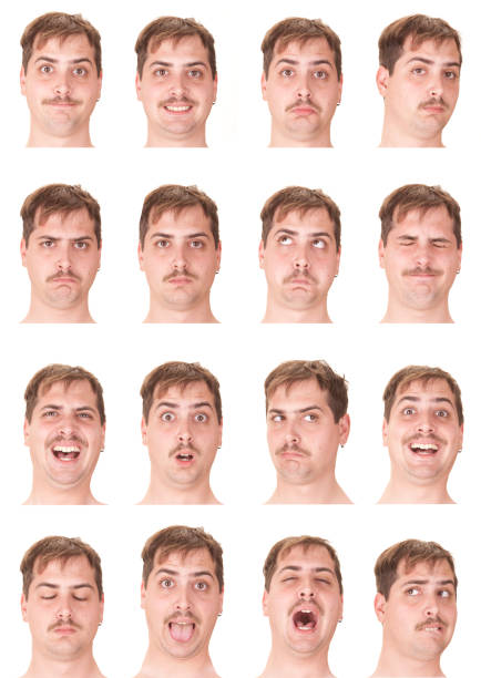 istock Expressive brown short hair man emotion set collection on white 519459205