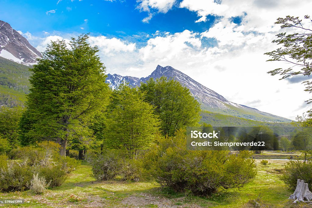 Ushuaia National Park, Argentina Landscape of the rock behind of the beautiful green forest, Ushuaia, Argentina Andes Stock Photo