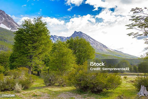 Ushuaia National Park Argentina Stock Photo - Download Image Now - Andes, Argentina, Awe