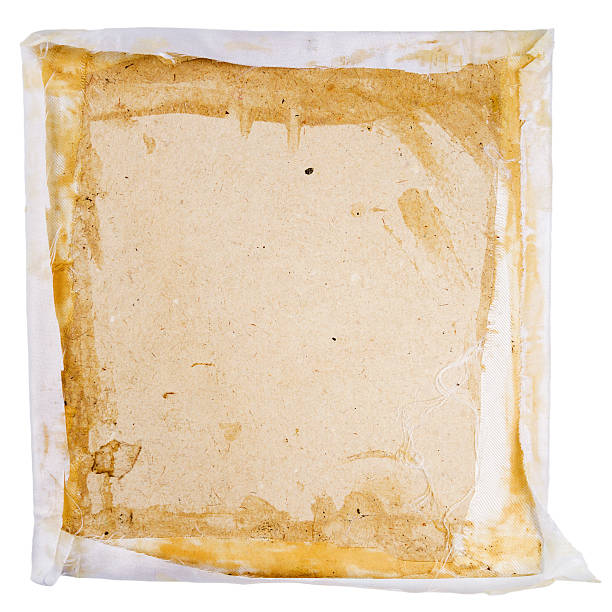 istock Top view of carton box insert 519461931