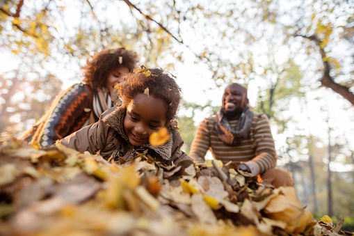 Low angle view of African American little girl in nature playing among autumn leaves with her parents.