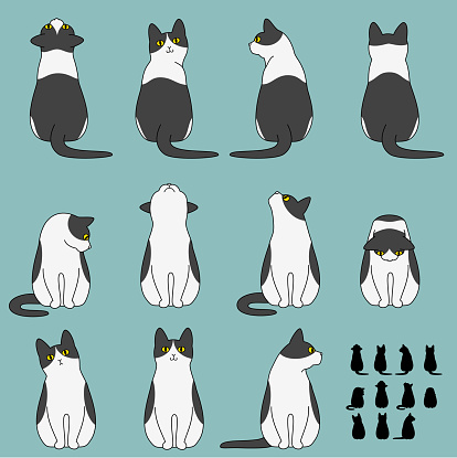 Set of cat sitting poses.
