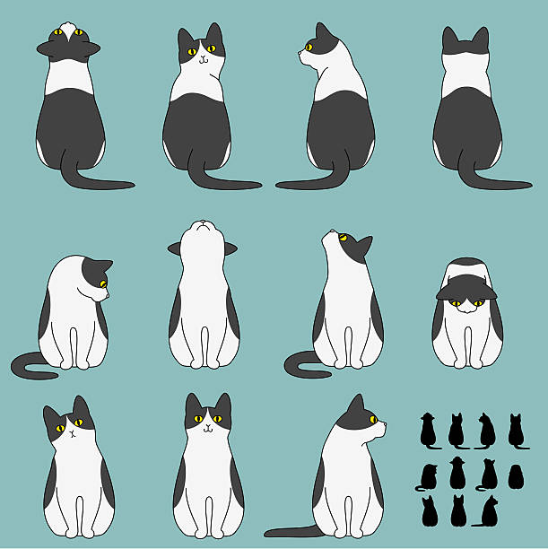 12,100+ Black And White Cat Illustrations, Royalty-Free Vector Graphics &  Clip Art - Istock | Black And White Cat Isolated, Black And White Cat  Illustration, Black And White Cat Sitting