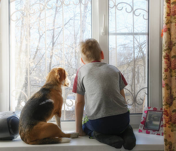 istock boy with his dog looking through the window 519467592