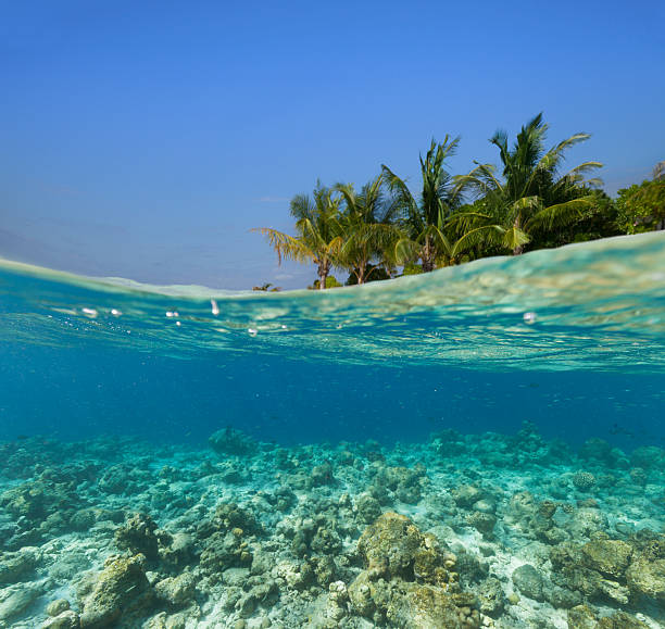 istock Underwater coral reef with tropical island 519469294