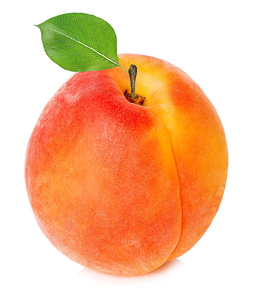istock Apricot with leaf close-up isolated on a white background. 519469506