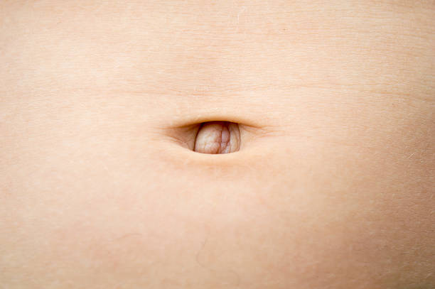 stomach of child Close up stomach of child navel stock pictures, royalty-free photos & images