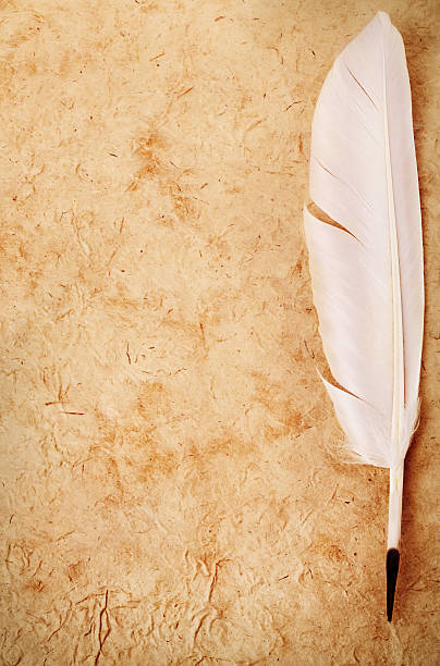 istock White quill pen close-up on vintage old paper background. 519471138