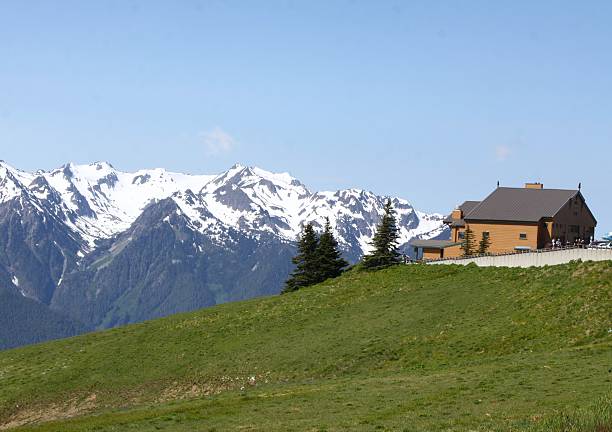 istock Snowcapped  Olympic Mountains From Hurricane Ridge 519471253