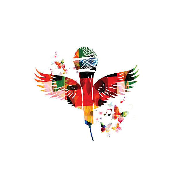 ミュージック the microphones & little wings Little Bird Flies Into A Big Black Cloud | the Microphones | Mount