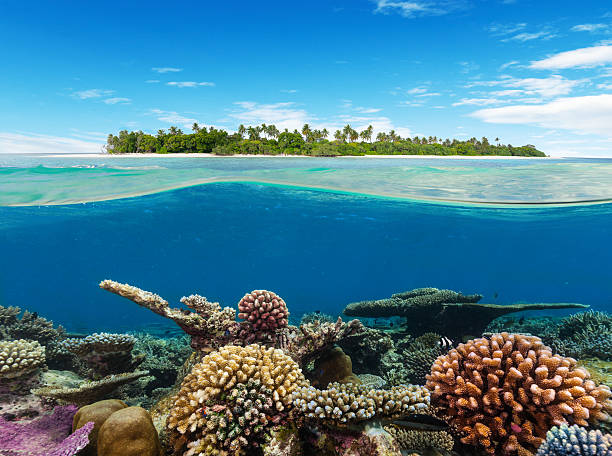 istock Underwater coral reef with tropical island 519472368