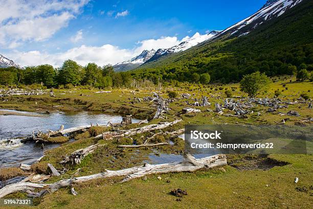 Ushuaia National Park Argentina Stock Photo - Download Image Now - Andes, Argentina, Awe