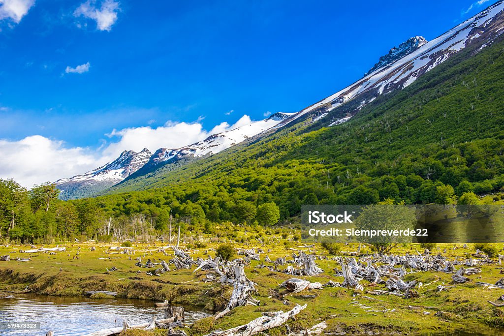 Ushuaia National Park, Argentina Landscape of the Tierra del Fuego National Park,  Argentina Andes Stock Photo