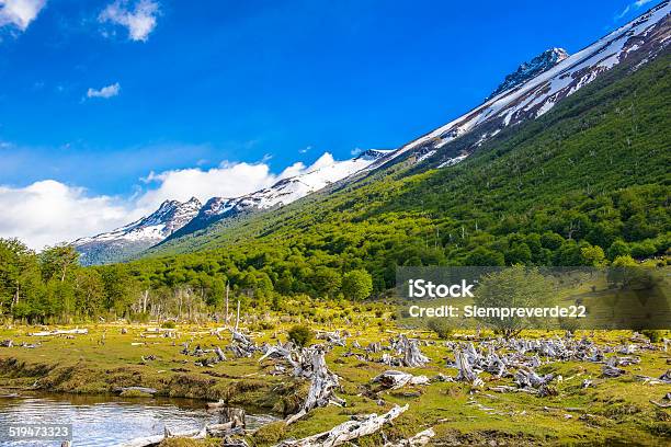 Ushuaia National Park Argentina Stock Photo - Download Image Now - Andes, Argentina, Awe