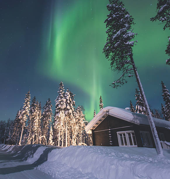 istock Massive vibrant Aurora Borealis Northern Lights in Lapland, Norway 519473862