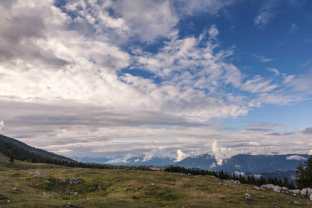 sto dobratsch, kaernten - bergwiese foto e immagini stock