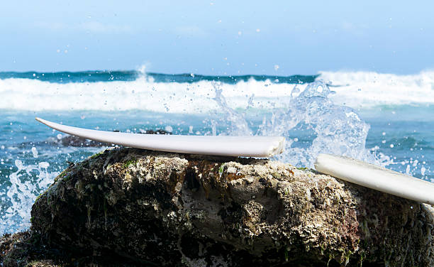 Free Stock Photo of White Surfboard on Pile of Rocks | Download Free ...