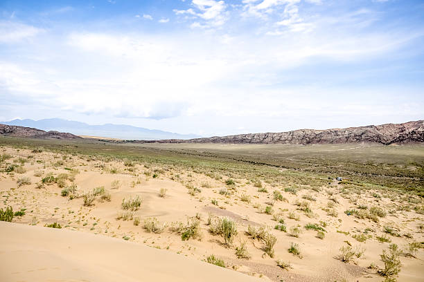 istock bushes in the sand desert wih mountains at background 519475492