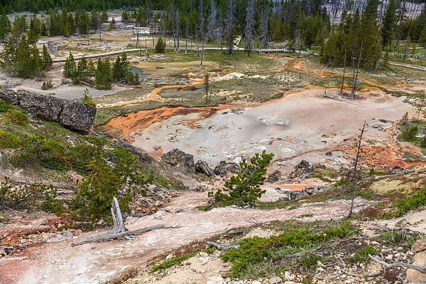 istock Yellowstone National Park 519476611