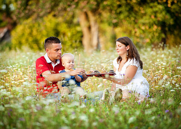 istock Family having picnic in nature 519486223