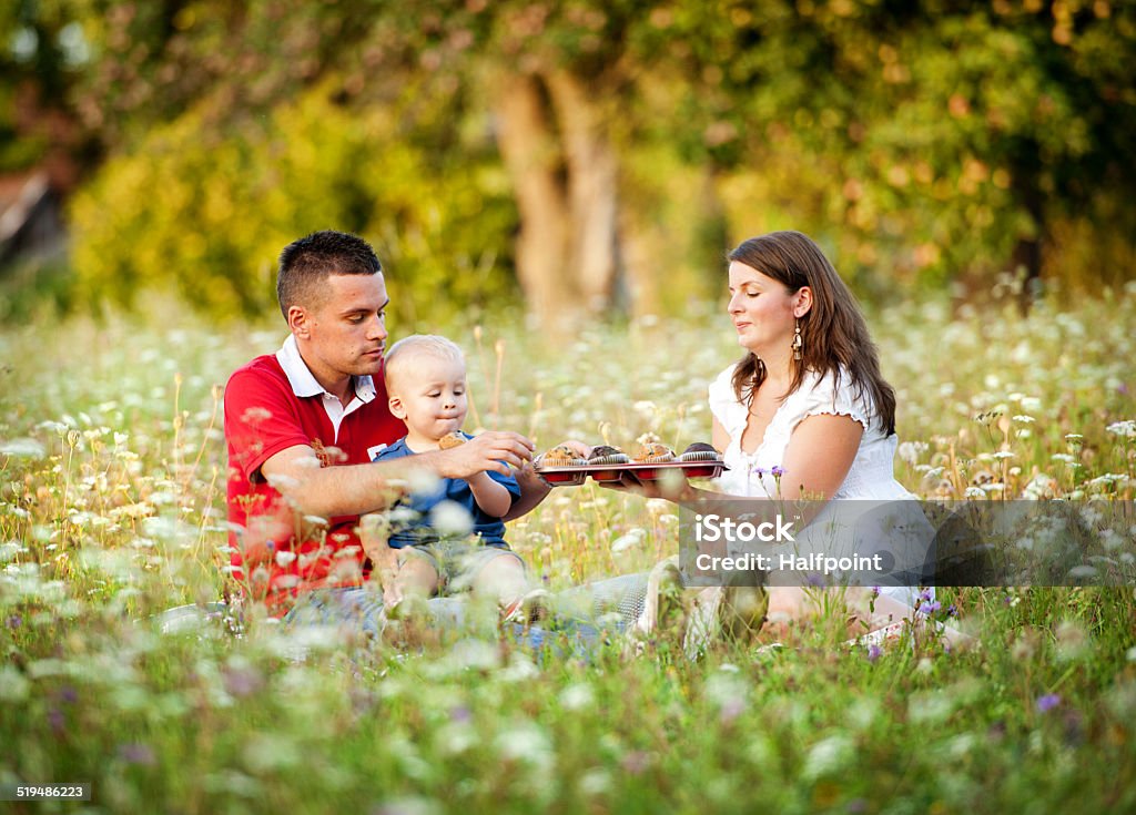 Family having picnic in nature Happy family with little boy sitting on meadow in summer and eating homemade muffins Muffin Stock Photo