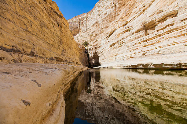 istock gorge desert with a natural water 519486969