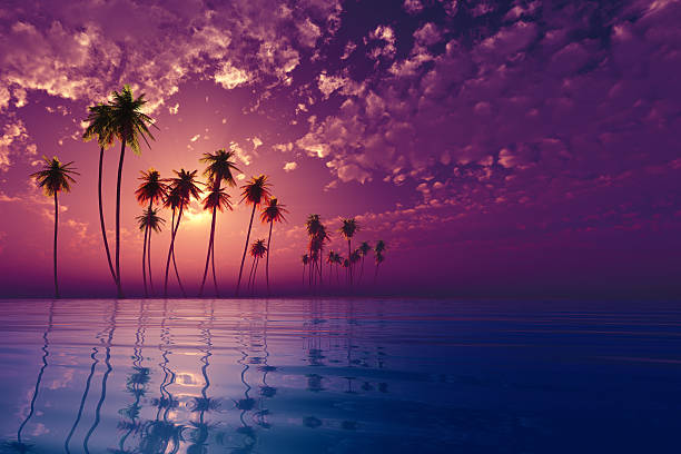 istock tropic island at sunset 519488633