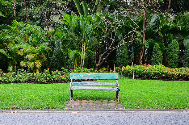 istock Wooden park bench in the garden 519489427
