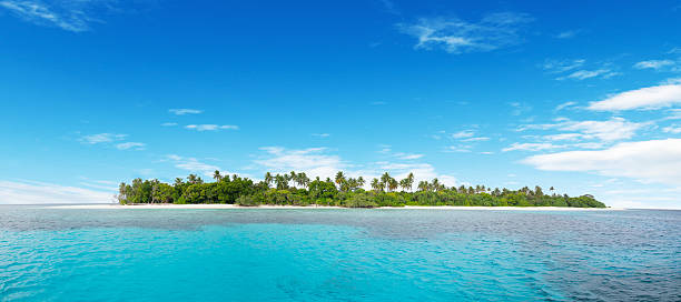 istock Beautiful nonsettled tropical island 519491352