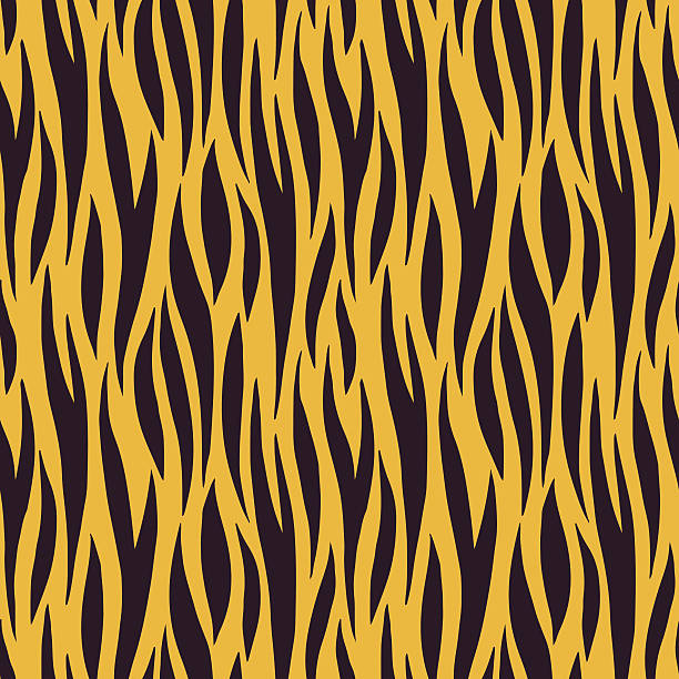 5,939 Cartoon Of The Tiger Stripes Illustrations & Clip Art - iStock