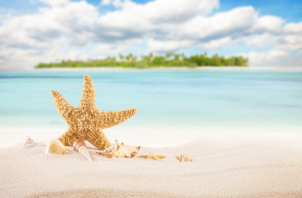 istock Sandy tropical beach with island on background 519492628