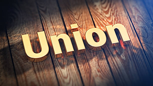 istock Word Union on wood planks 519493362