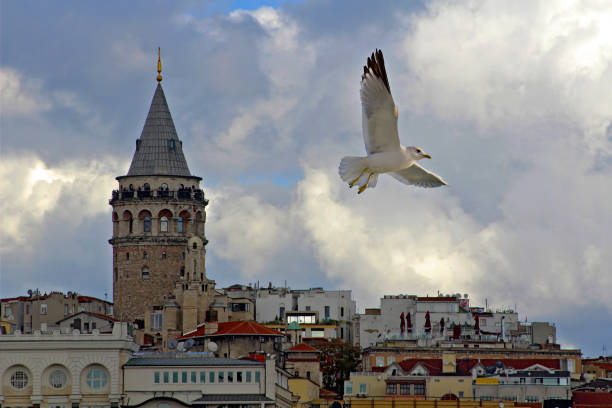 istock Galata Tower in Istanbul, Turkey. 519494294